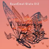 Artwork for Sounemot State 012 by SounEmot State (Dj)