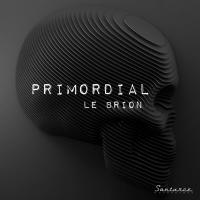 Artwork for Primordial by Le Brion