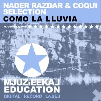 Artwork for Como La Lluvia by Nader Razdar