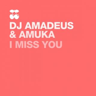 Artwork for I Miss You (Benny Maze Remix)
