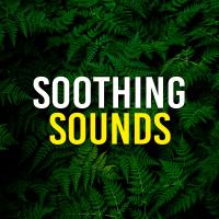 Artwork for Soothing Sounds by Nature Sounds Nature Music