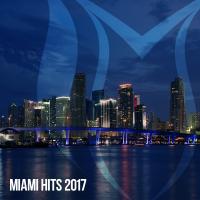 Artwork for Miami Hits 2017 by Various Artists