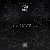 Artwork for Sidereal by Radyon