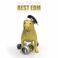 Artwork for New Year Best EDM 2018 by Various Artists