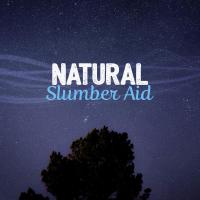 Artwork for Natural Slumber Aid by Nature Sounds For Sleep and Relaxation