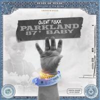 Artwork for Parkland 87 Baby by Quint Foxx