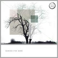 Artwork for The Qube by Qubiko