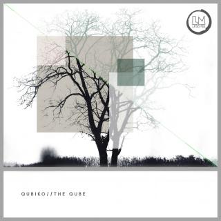 Artwork for The Qube