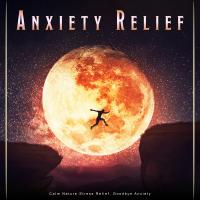 Artwork for Anxiety Relief: Calm Nature Stress Relief, Goodbye Anxiety by Piano and Ocean Waves