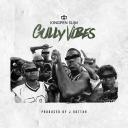 Artwork for Gully Vibes