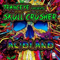 Artwork for Acidland by TrancEye