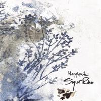 Artwork for Hoppípolla by Sigur Rós