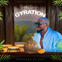 Artwork for Gyration