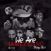 Artwork for We Are Jamez Gang Mixtape, Vol. 1 by Various Artists