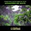 Artwork for Aguacero De Mayo (feat. Fallom)