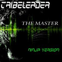 Artwork for The Master by Tribeleader