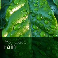 Artwork for First Class Rain by Rain Sounds Nature Collection