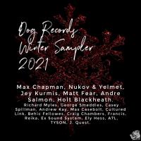 Artwork for Dog Records Winter Sampler 2021 by Various Artists