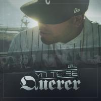 Artwork for Yo te se querer by Don Aero