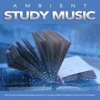 Artwork for Ambient Study Music: Rain Sounds and Relaxing Background Music For Studying, Music For Reading, Focus and Concentration by Study Music & Sounds