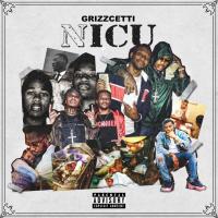 Artwork for Nicu by Grizzcetti