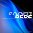 Artwork for Soul of Sparks (Dub Mix)