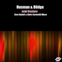 Artwork for Joint Venture by Husman & Blidge
