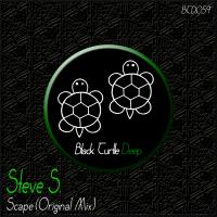 Artwork for Scape (Original Mix) by Steve S.