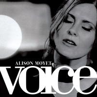 Artwork for Voice by Alison Moyet