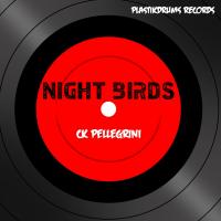 Artwork for Night Birds by Ck Pellegrini