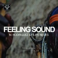 Artwork for Feeling Sound by M. Rodriguez