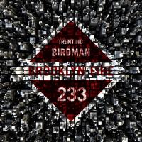 Artwork for Birdman by Trentino