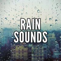 Artwork for Rain Sounds by Sounds Of Nature