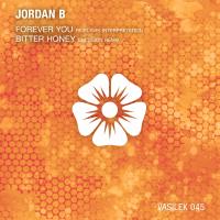 Artwork for Forever You / Bitter Honey (Remixes) by Jordan B