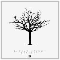 Artwork for Derakht by Shahab Abbasi