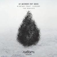 Artwork for Le Monde Est Gris by Kintar