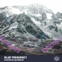 Artwork for System of Nature EP by Blue Frequency