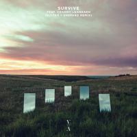 Artwork for Survive (Sultan + Shepard Remix) by Lane 8