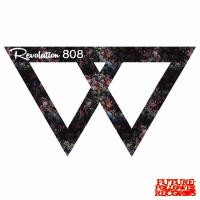 Artwork for Revolution 808 by Watsn