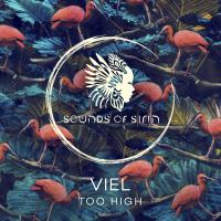 Artwork for Too High by Viel