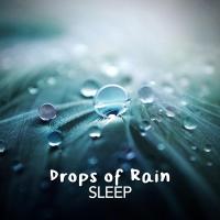 Artwork for Drops of Rain: Sleep by Rain For Deep Sleep