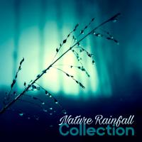 Artwork for Nature Rainfall Collection by Rain Sounds Nature Collection