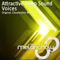 Artwork for Voices by Attractive Deep Sound