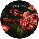 Artwork for Theatrum Orbis (Original Mix)