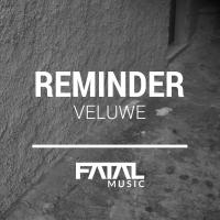 Artwork for Veluwe by REMINDER