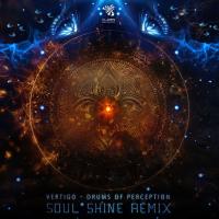 Artwork for Drums of Perception (Soul Shine Remix) by Soul Shine