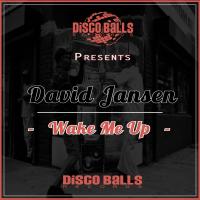 Artwork for Wake Me Up by David Jansen