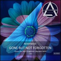 Artwork for Gone but Not Forgotten by RemyWest