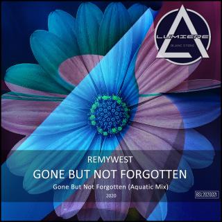 Artwork for Gone but Not Forgotten