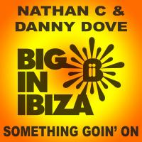 Artwork for Something Goin' On by Danny Dove